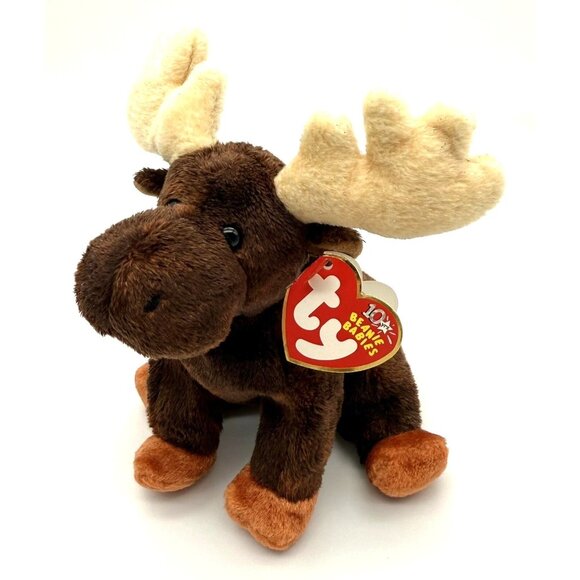 Ty Beanie Babies Zeus The Moose Plush 2002 Collectible Brown & Cream NWT - Picture 1 of 7